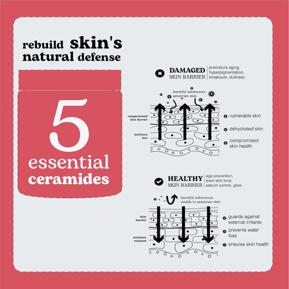 Beesline Adaptogen Barrier Cream 50ml | Ceramide Moisturizer for Dry, Sensitive Skin